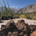 Binzaman’s Raw Himalayan Shilajit – 1kg (Unpurified) - Image 2