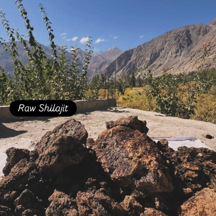 Binzaman’s Raw Himalayan Shilajit – 1kg (Unpurified) - Image 2